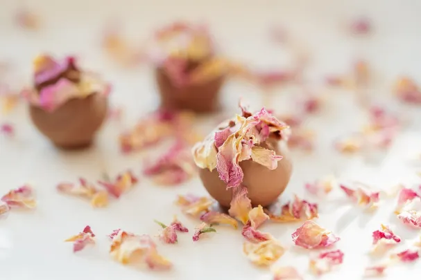 Otto Kasino Android/iOS App